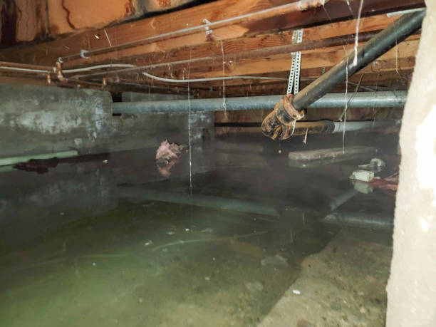Best Flood restoration services  in Tinton Falls, NJ