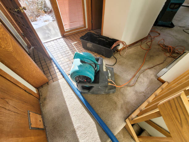 Best Water damage restoration near me  in Tinton Falls, NJ