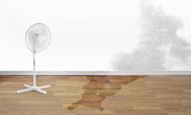 Best Professional water damage repair  in Tinton Falls, NJ
