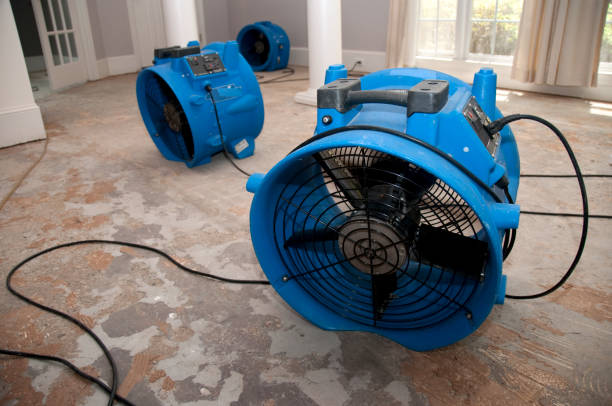 Best Flooded house restoration  in Tinton Falls, NJ