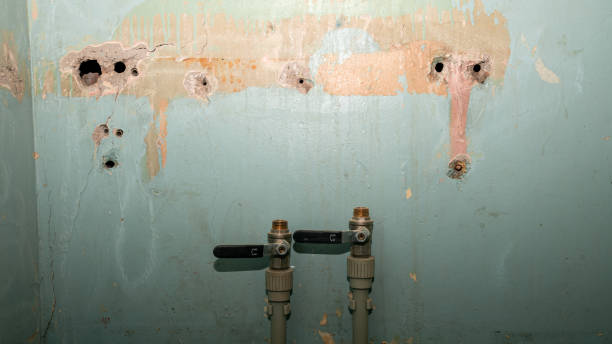 Best Residential water damage restoration  in Tinton Falls, NJ