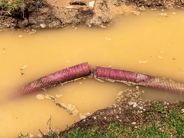 Best Mold removal after water damage  in Tinton Falls, NJ