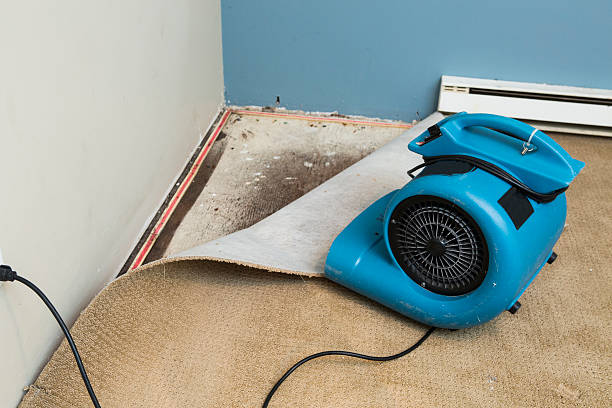 Best Basement water damage restoration  in Tinton Falls, NJ